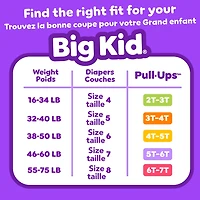 Sous-vêtements d’entraînement Pull-Ups pour garçons, 2T-3T (16 à 34 lb), 74 sous-vêtements
