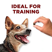 Purina ONE True Instinct Venison Bites, Dog Treats