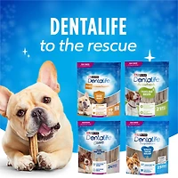 DentaLife Plus Immune Support, Dog Treats 408 g