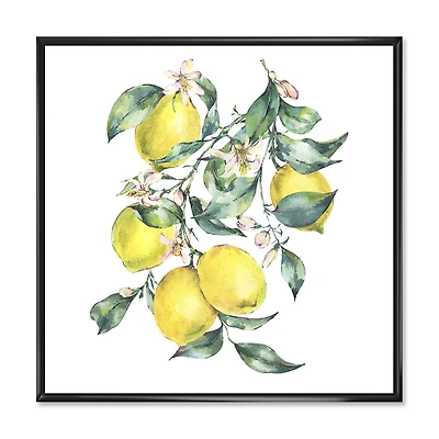 Designart Branche de citrons jaunes et de feuilles I ART MURAL À CADRE FLOTTÉ