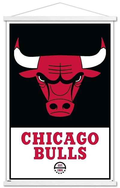 NBA Chicago Bulls - Logo 21