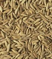 Q CUMIN SEED