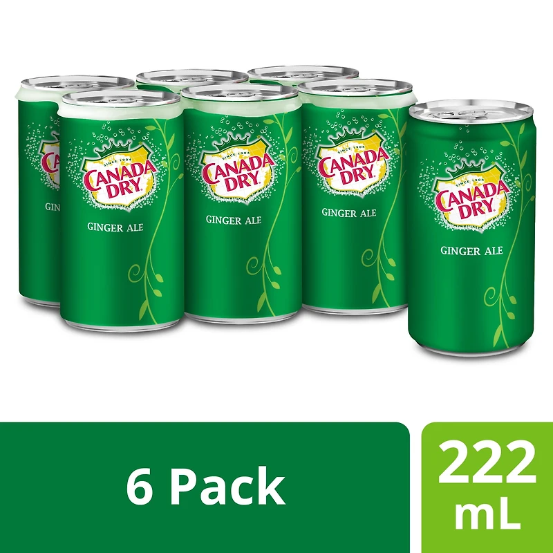 Canada Dry® Ginger Ale 222 mL Mini-Cans, 6 Pack
