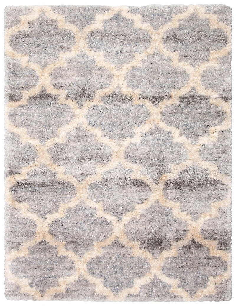 ECARPET Trellis Frieze Area Rug Fluffy Carpet for Bedroom