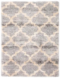 ECARPET Trellis Frieze Area Rug Fluffy Carpet for Bedroom