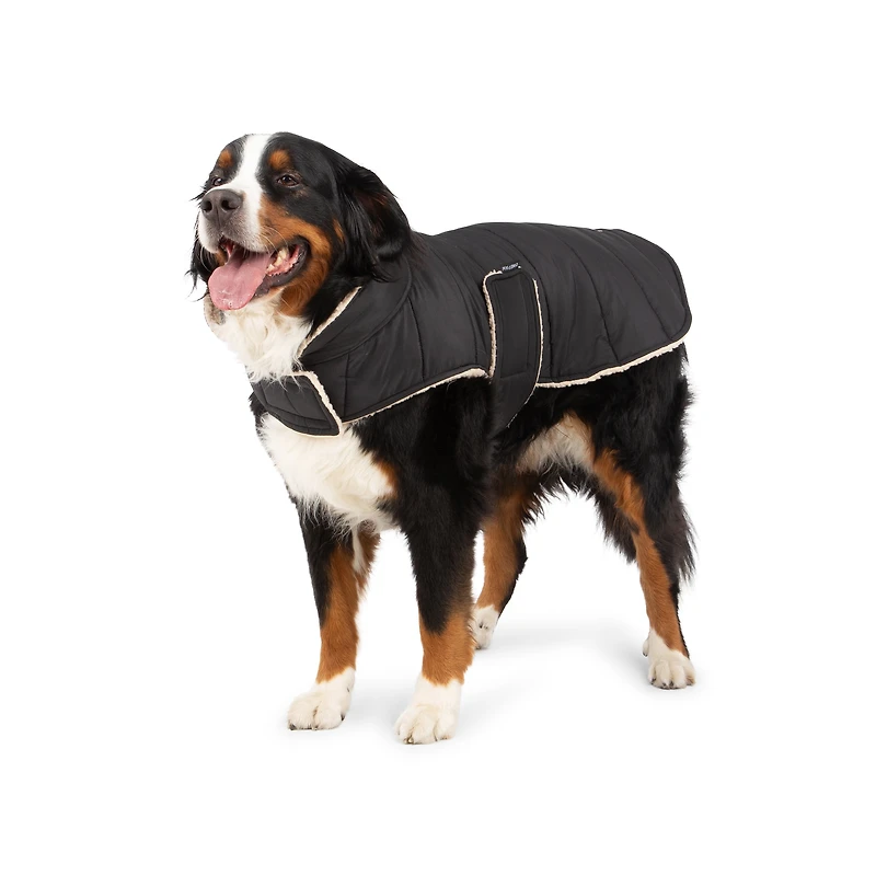 One Paw, Vêtement pour chien, Design réversible, pour Chiens