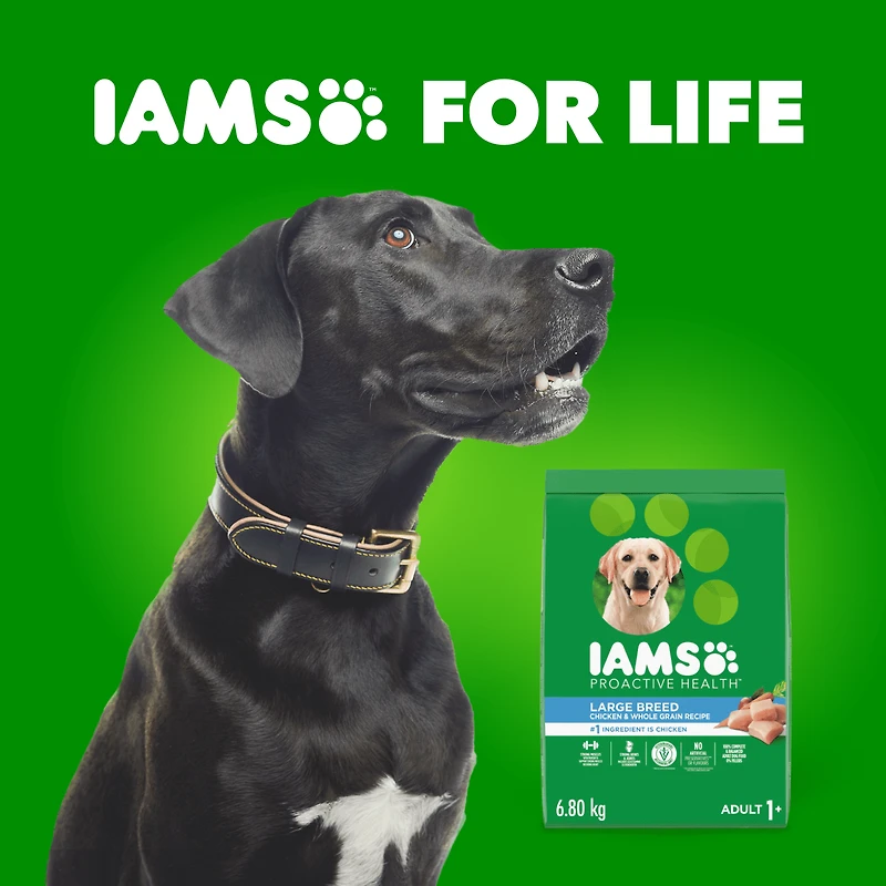 Iams Chicken & Whole Grains Recipe Adult Large Breed Dry Dog Food 6,80 kg