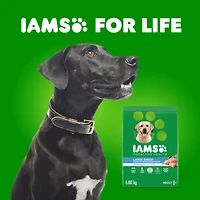 Iams Chicken & Whole Grains Recipe Adult Large Breed Dry Dog Food 6,80 kg