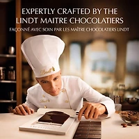 Lindt EXCELLENCE Ecuador 75% Cacao Dark Chocolate Bar, 100g