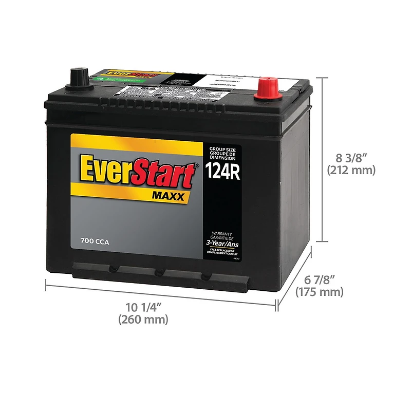 EverStart Auto MAXX-124RN, 12 Volt, Car Battery, Group Size 124R, 700 CCA