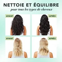 Herbal Essences Scalp + Purify Shampoo, Cleanses The Scalp for Soft Hair, Eucalyptus, Sulfate-Free, 400 mL