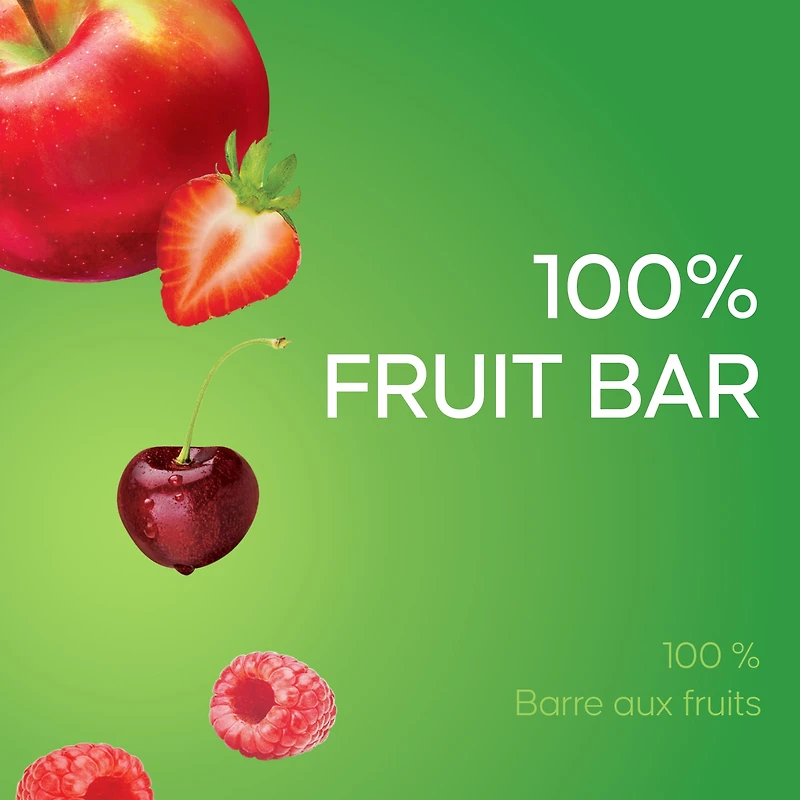 SunRype Fruitsource 100% Fruit Bar Pack