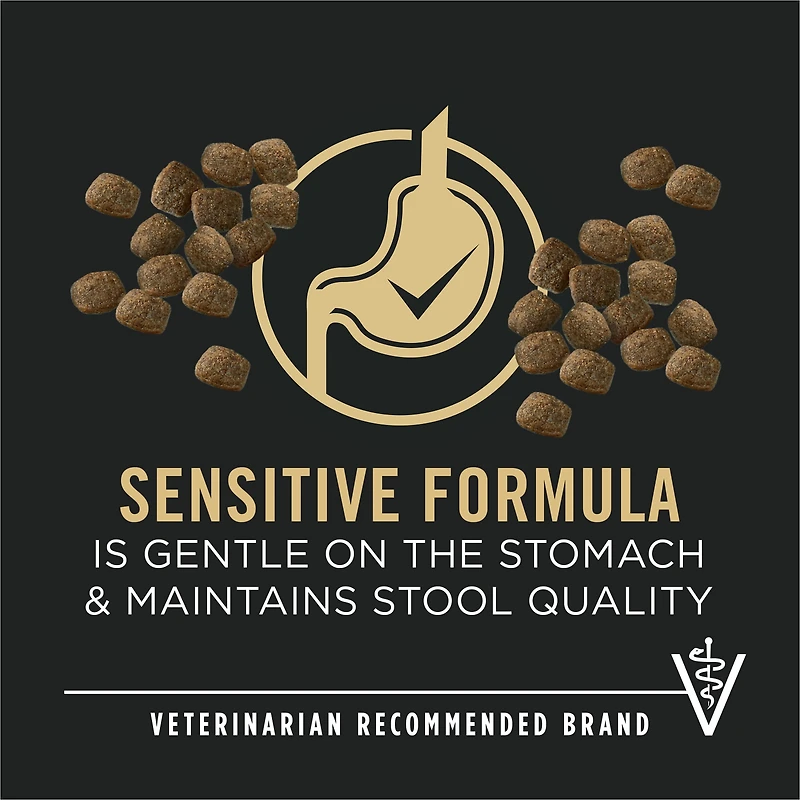 Purina Pro Plan Senior Sensitive Skin & Stomach Adult 7+ Salmon, Dry Dog Food