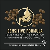 Purina Pro Plan Senior Sensitive Skin & Stomach Adult 7+ Salmon, Dry Dog Food