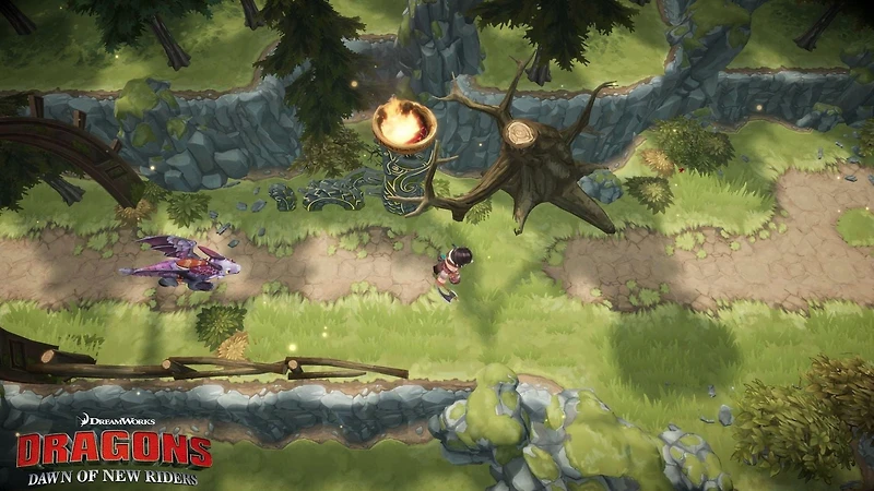 Dragons: Dawn of New Riders [Nintendo Switch]