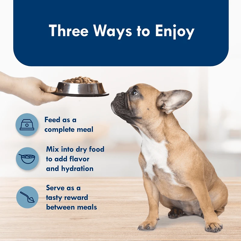 Blue Buffalo Delights Saveur de poulet grillé, Pâté pour chiens en barquette, 99 g (3,5 oz)