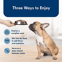 Blue Buffalo Delights Saveur de poulet grillé, Pâté pour chiens en barquette, 99 g (3,5 oz)