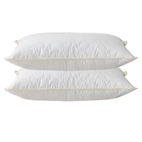 Royal Elite Silk & Feather Combo Pillow