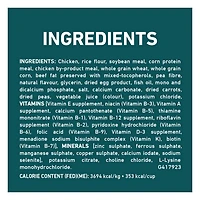 Purina ONE SmartBlend Large Breed Puppy Formula Chicken, Dry Dog Food 14 kg
