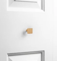 Era Square Knob 2-Pack Brushed Gold