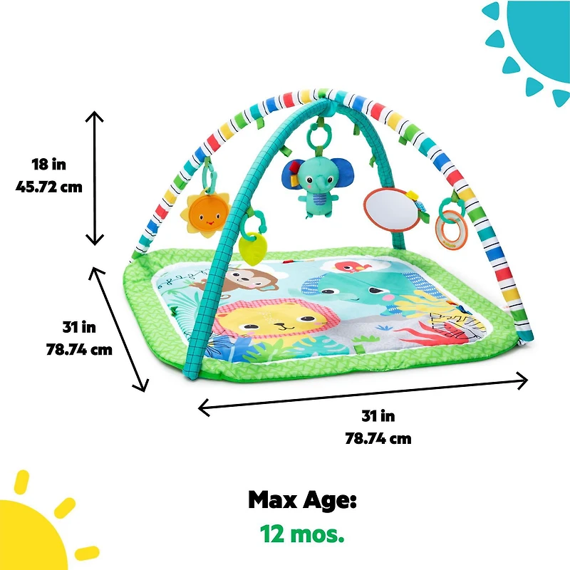 Bright Starts Wild Wiggles FoldAway Activity Gym, age group: 0M+ - 16814