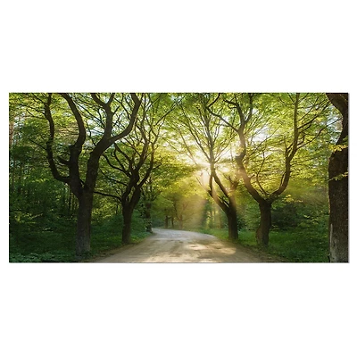 Designart Evening in Green Forest Canvas Wall Art