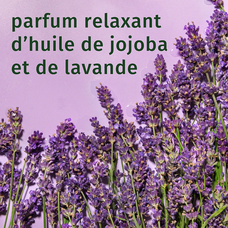 HERBAL ESSENCES Boucles JOJOBA et Lavande Revitalisant