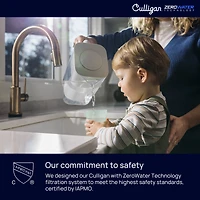 Pichet filtrant Culligan avec technologie ZeroWater de tasses avec filtre à eau avancé à 5 étapes