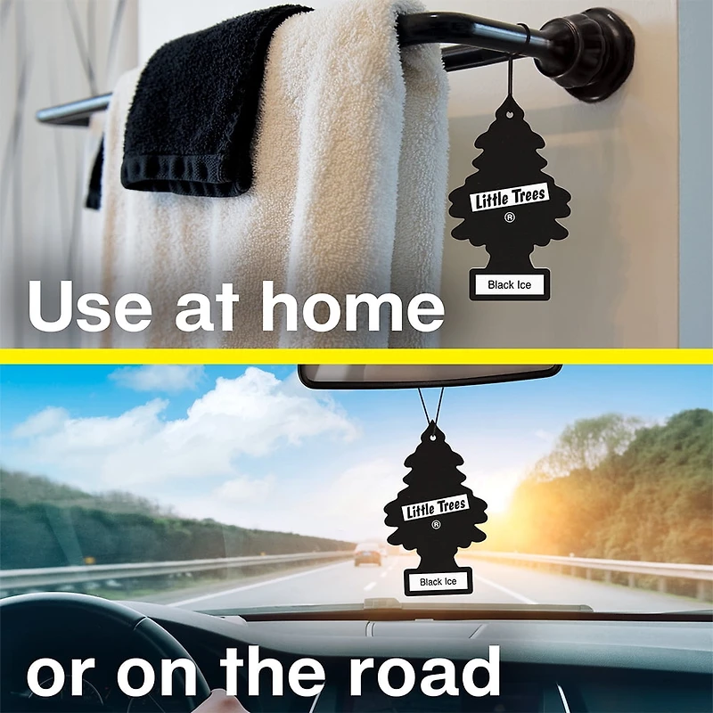 LITTLE TREES air freshener True North 6-Pack