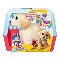 Little Live Pets Ouchies Cooper