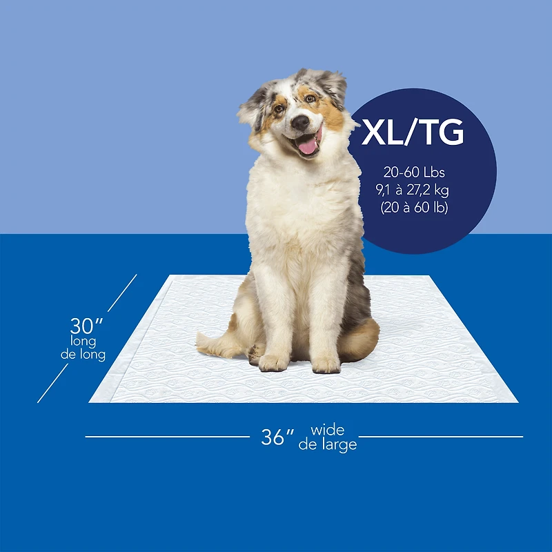 Scott Pet Guard Dog Pads - Dog Training Pee Pads for Puppies, Medium & Large Dogs - Up to 12 Hour Absorbent odour Control - Easily Disposable Dog Pee Pads - Size XL - 30" x 36