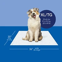 Scott Pet Guard Dog Pads - Dog Training Pee Pads for Puppies, Medium & Large Dogs - Up to 12 Hour Absorbent odour Control - Easily Disposable Dog Pee Pads - Size XL - 30" x 36
