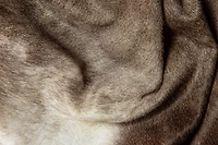Tapis Kobe En Peau De Vache