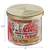 14 Oz 3 Wick Jar Candle With Metal Lid (Christmas Cranberry) - Set of 2