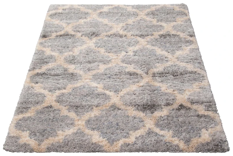 ECARPET Trellis Frieze Area Rug Fluffy Carpet for Bedroom