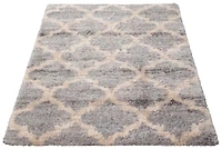 ECARPET Trellis Frieze Area Rug Fluffy Carpet for Bedroom