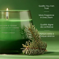 Yankee Candle Scented Candle, Balsam & Cedar, 10 oz, Studio Collection, Up to 50 Hours of Burn Time