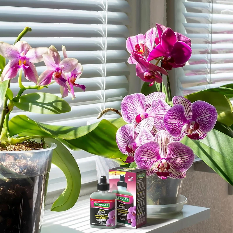 Schultz® Orchid Liquid Plant Food 15-5-5 150 g