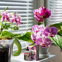 Schultz® Orchid Liquid Plant Food 15-5-5 150 g
