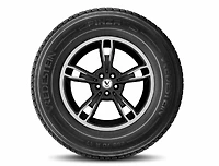 Vredestein Pinza HT 255/55R20XL 110H BSW all-weather light truck and SUV tire