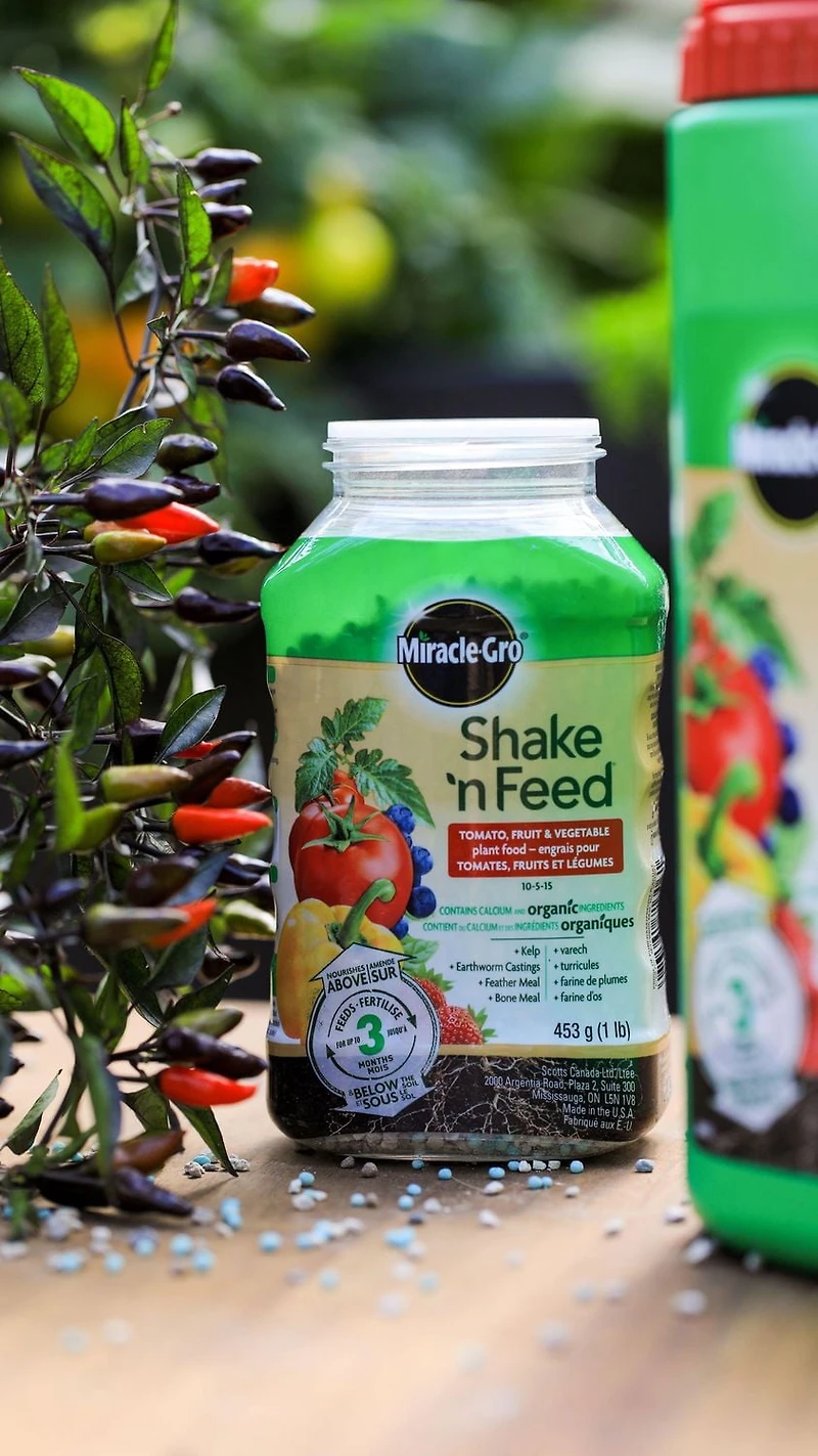 Engrais pour tomates, fruits et légumes Miracle-Gro Shake ’n Feed - 453g
