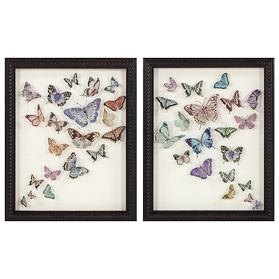 Set of Two Framed Under Glass Butterflies 8x10 - FRENCH