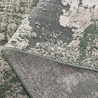 SAFAVIEH Cabana Selma Distressed Indoor/Outdoor Area Rug