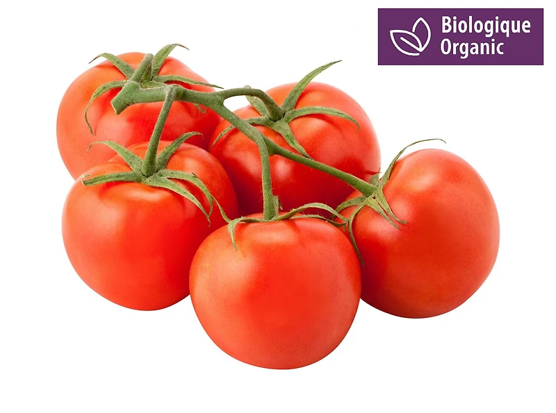 Grappe de tomates biologique