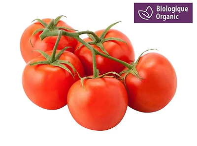 Grappe de tomates biologique