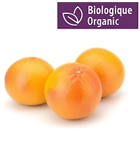 Pamplemousses biologiques