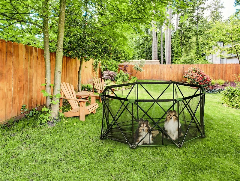 Parc pliant portatif Carlson Pet Products pour chiens à 8 panneaux en vert