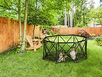 Parc pliant portatif Carlson Pet Products pour chiens à 8 panneaux en vert