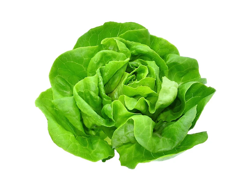 Lettuce, Butter, 1 EA