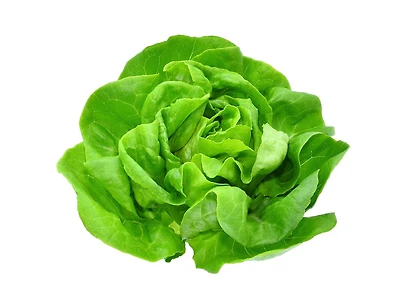 Lettuce, Butter, 1 EA